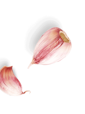 Garlic