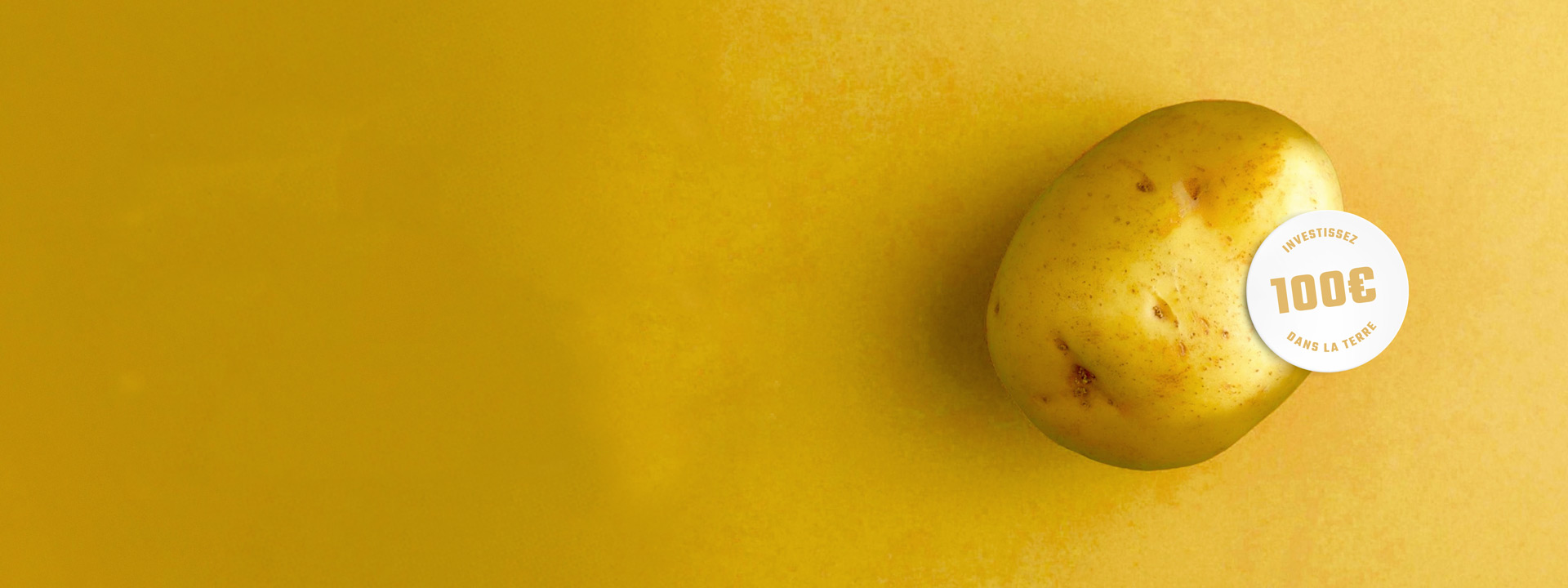 Cette patate est votre avenir