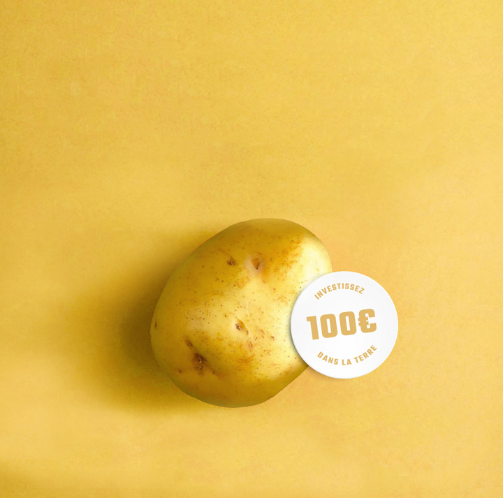 Cette patate est votre avenir