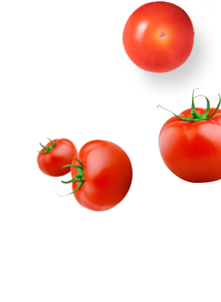 tomatoes